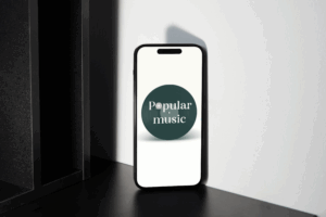 Picture of my project