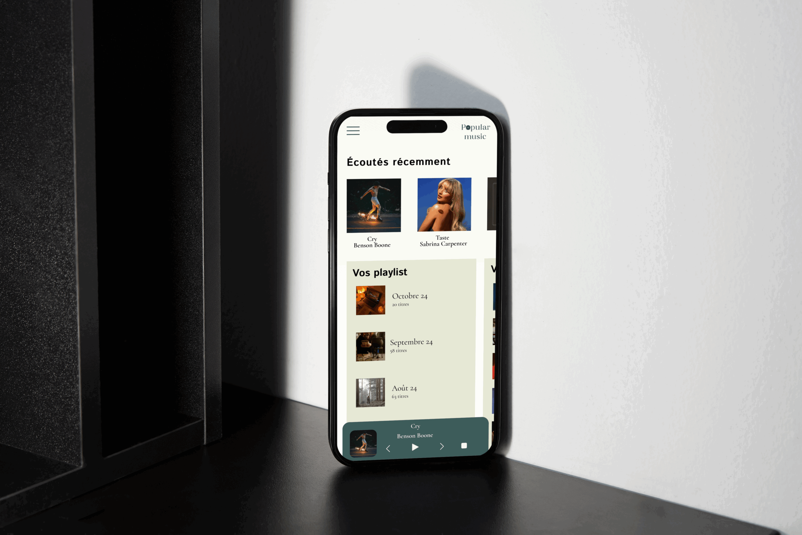 Picture of my project