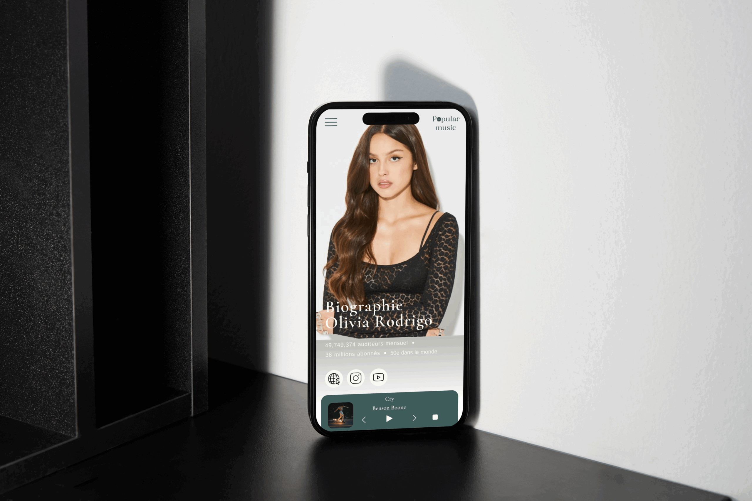 Picture of my project