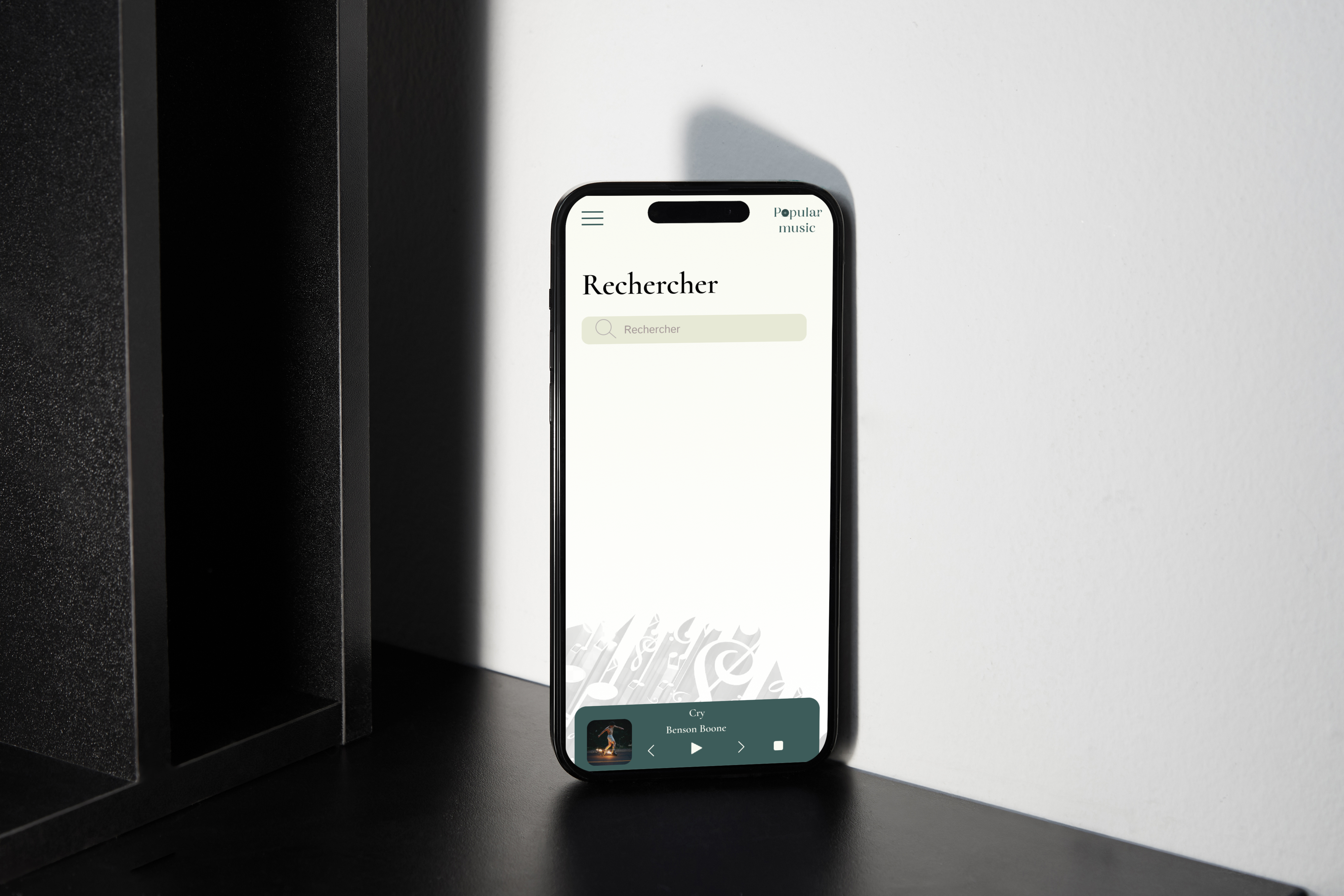 Picture of my project