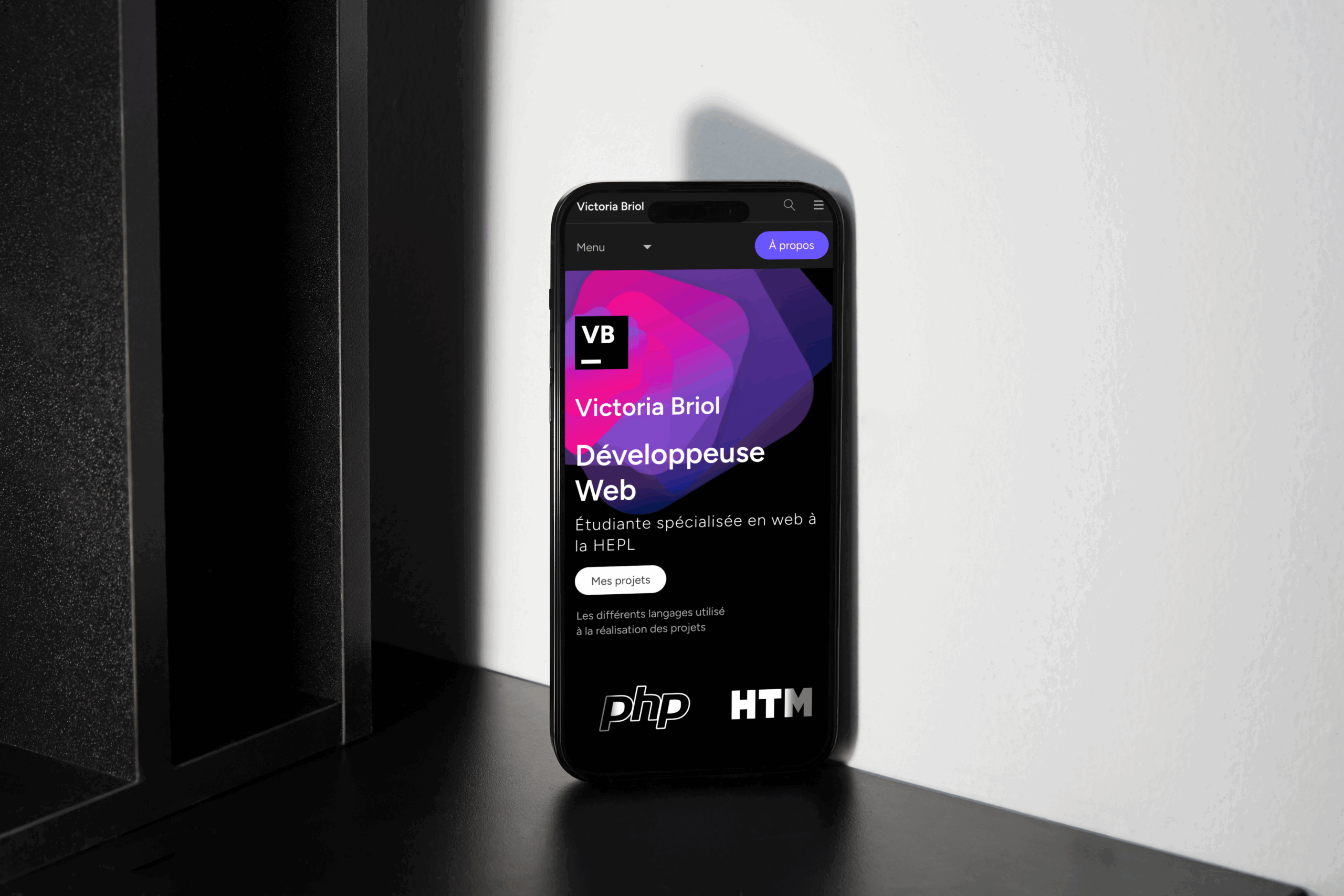 Picture of my project